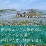 茨城県のおすすめ矯正歯科・クリニック１０選！評判や安さ、特徴を紹介